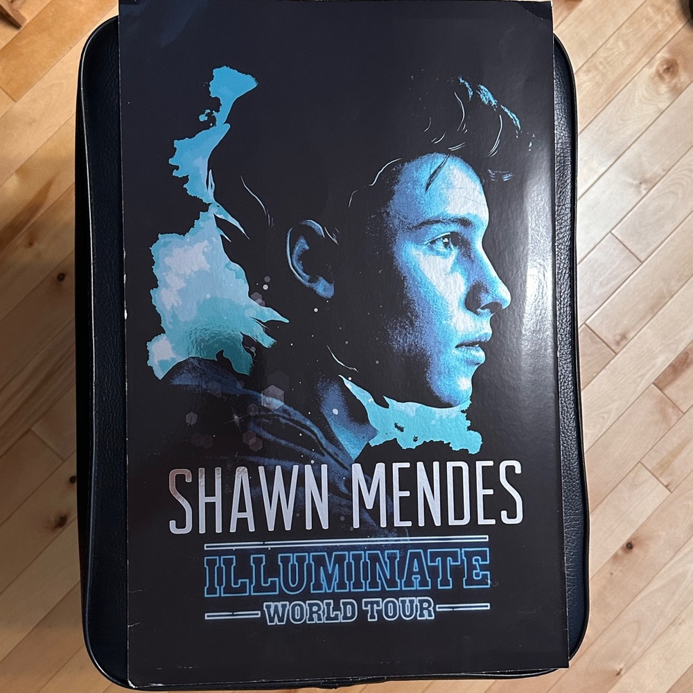 Authentic Shawn Mendes Illuminate tour VIP poster